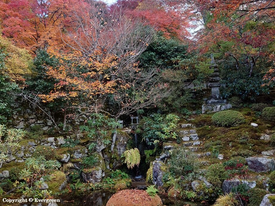 実光院の紅葉-03