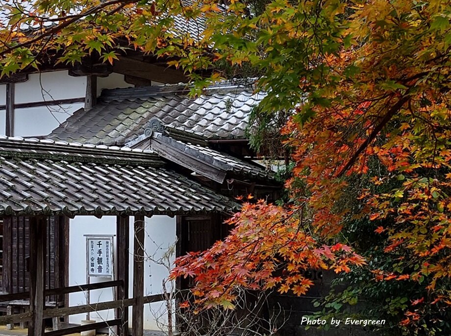 綾部安国寺の紅葉-04