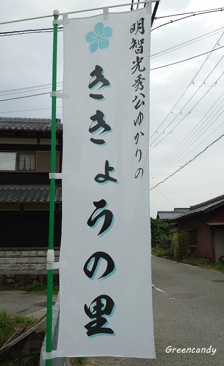 亀岡ききょうの里-10