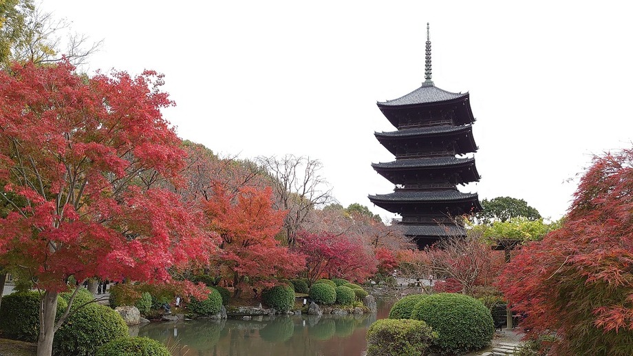 ブログサイドバー