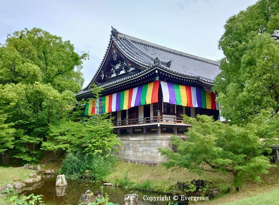 智積院の紫陽花-07