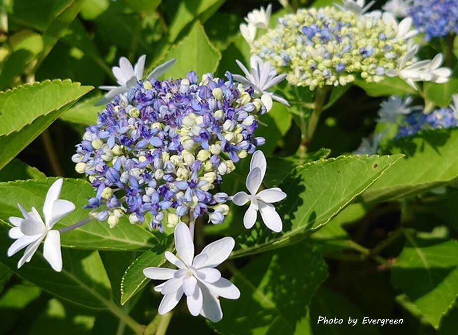 ミラタップパーク芦屋-11