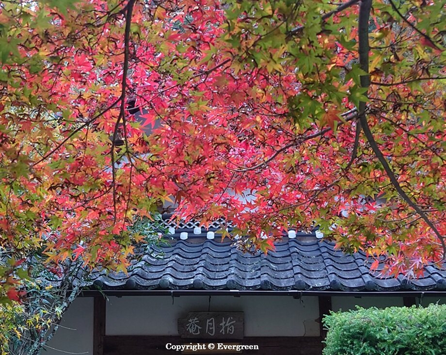 丹波円通寺-06