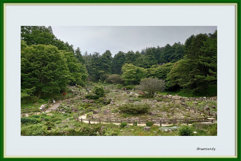 六甲高山植物園-12