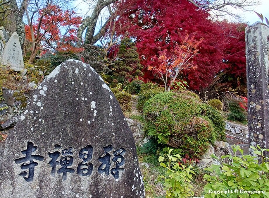 如来寺禅昌寺の紅葉-06