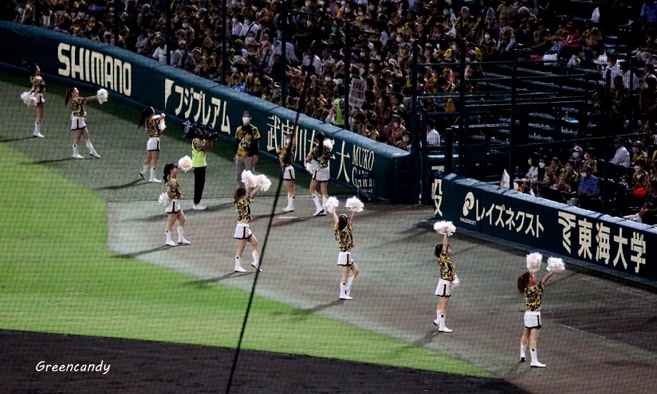 甲子園球場-34