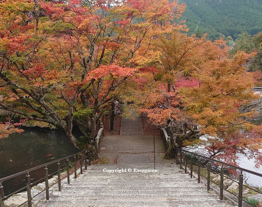 丹波円通寺-02