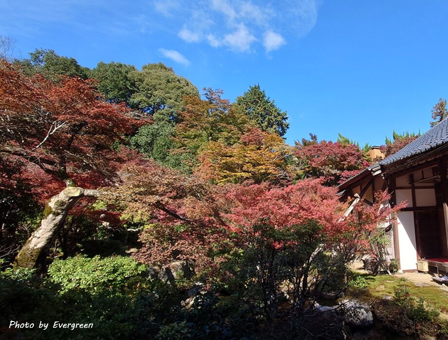 岩倉実相院の紅葉-02