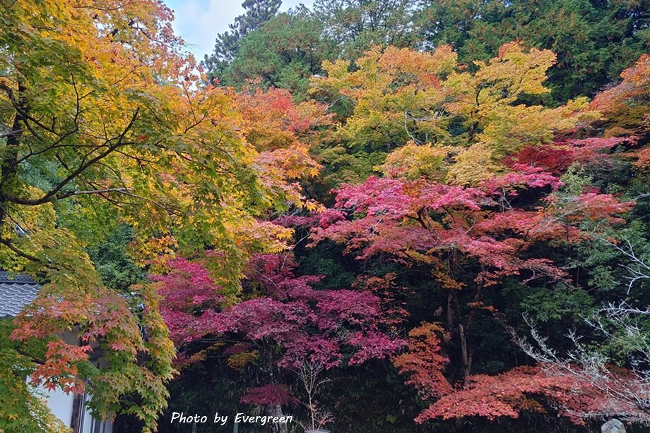 綾部安国寺の紅葉-08