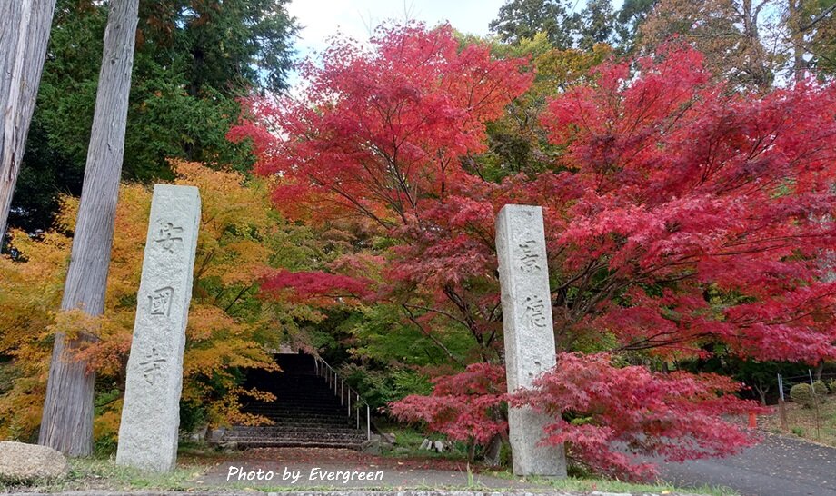 綾部安国寺の紅葉-01