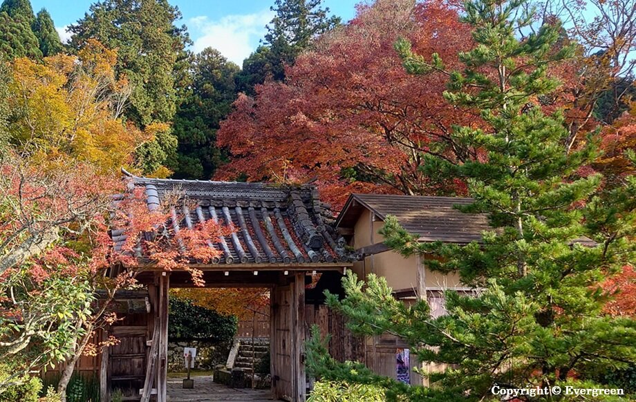 宝泉院の紅葉-07