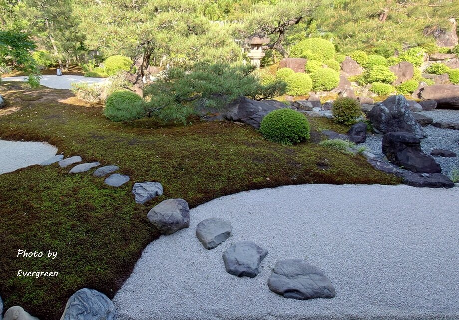 妙満寺の新緑-05