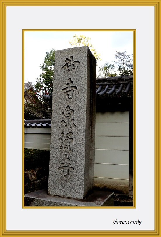 泉涌寺-13
