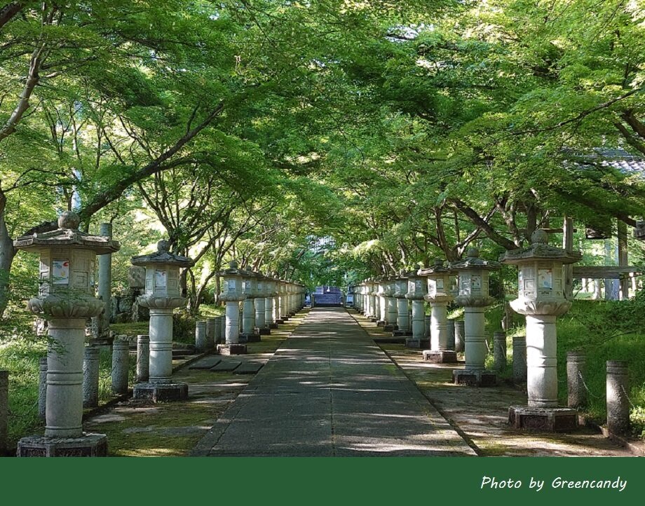 高山寺-04