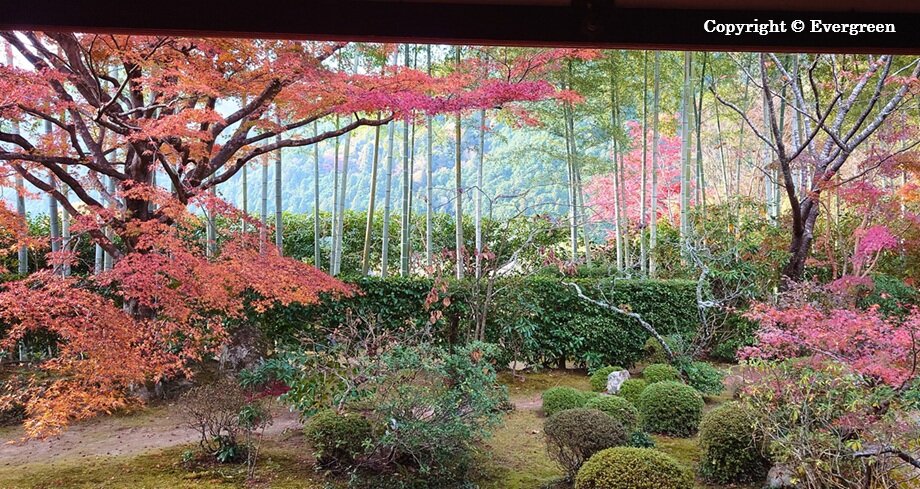 宝泉院の紅葉-02