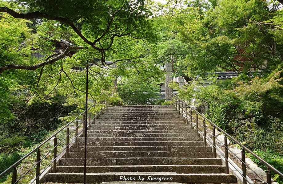 丹波円通寺のあじさい-18