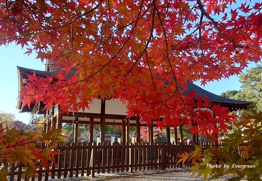 上賀茂神社の紅葉-03