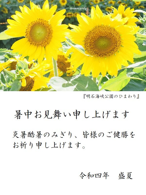 暑中見舞い2022
