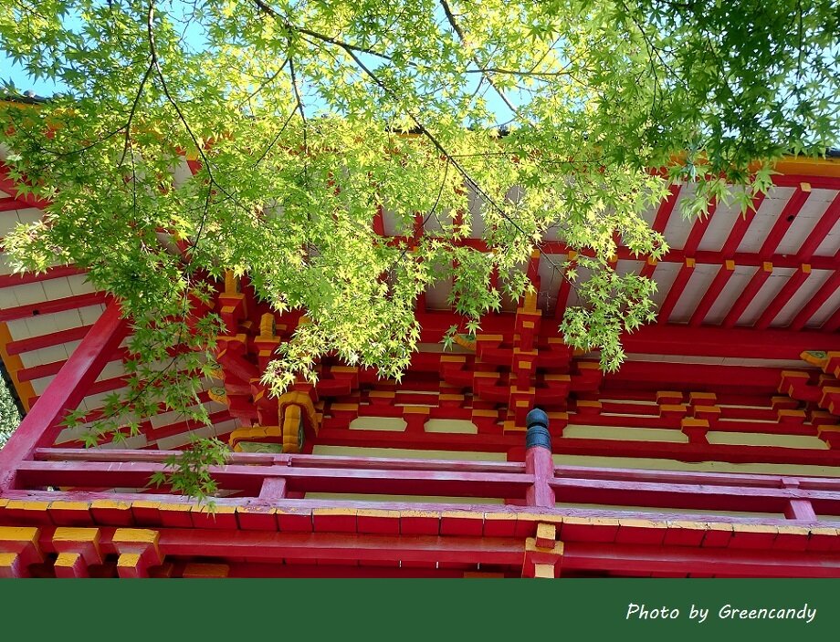 高山寺-06
