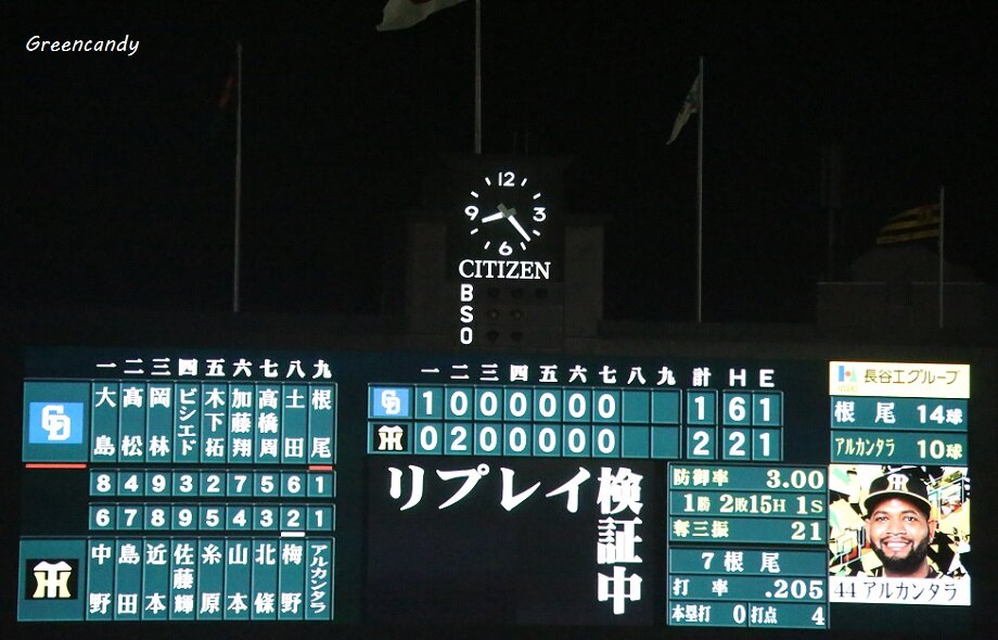 甲子園球場-36