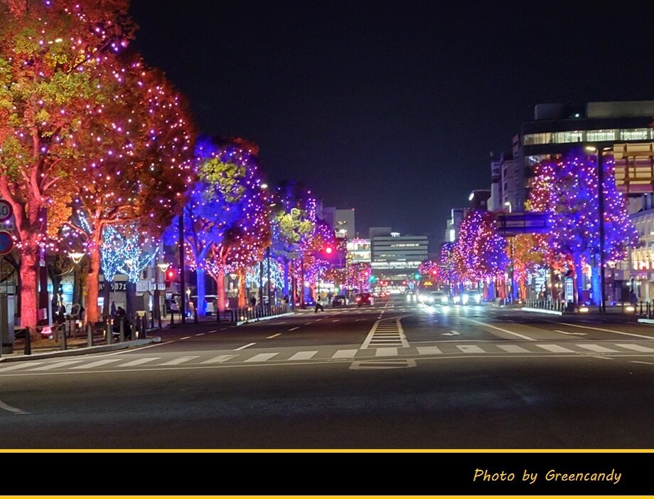 Himeji大手前通りイルミネーション-09