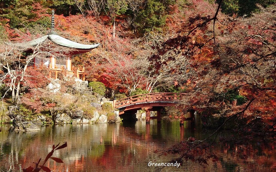 醍醐寺-15