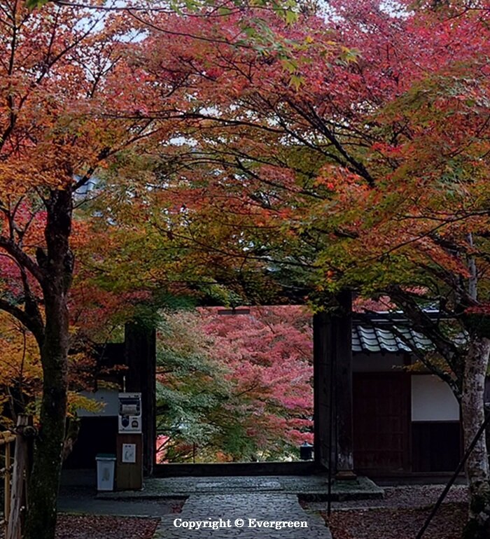 丹波円通寺-01