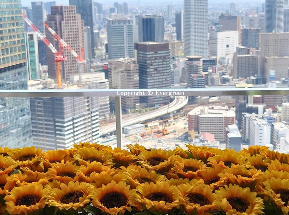 梅田スカイビル空中庭園展望台-05