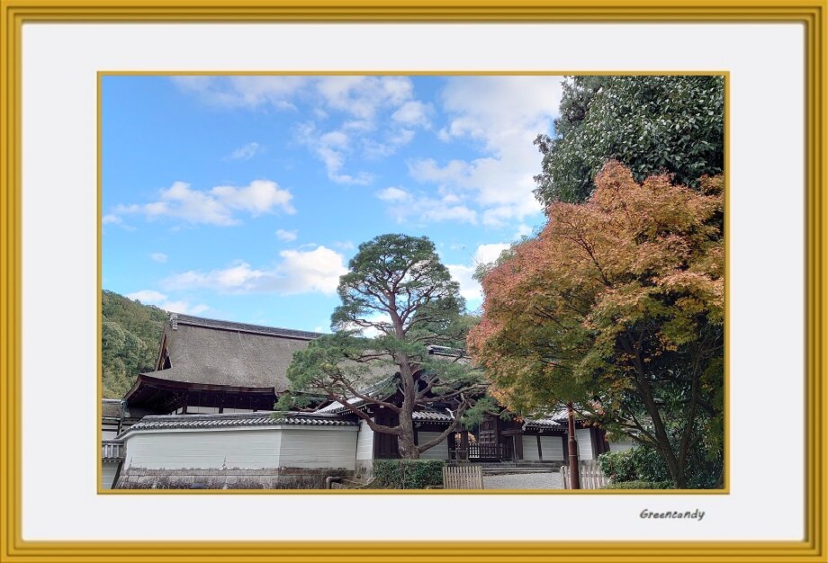 泉涌寺-07