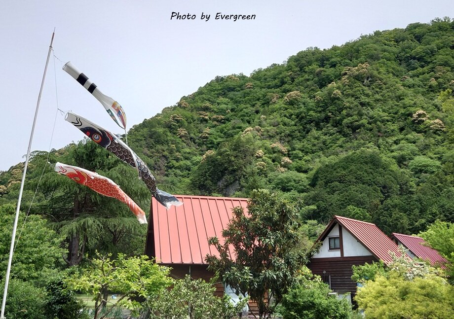 フロイデン八千代-01