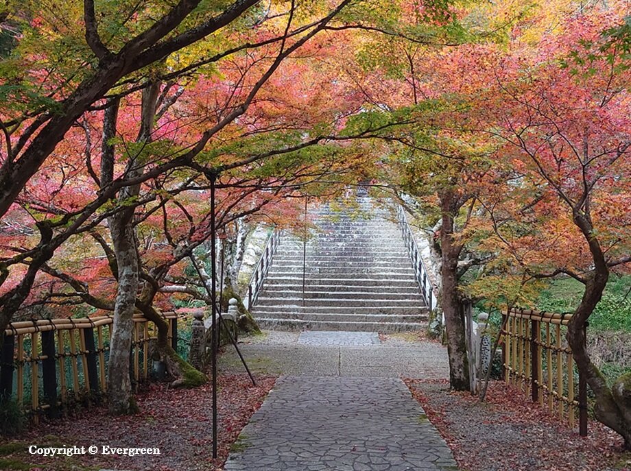 丹波円通寺-03