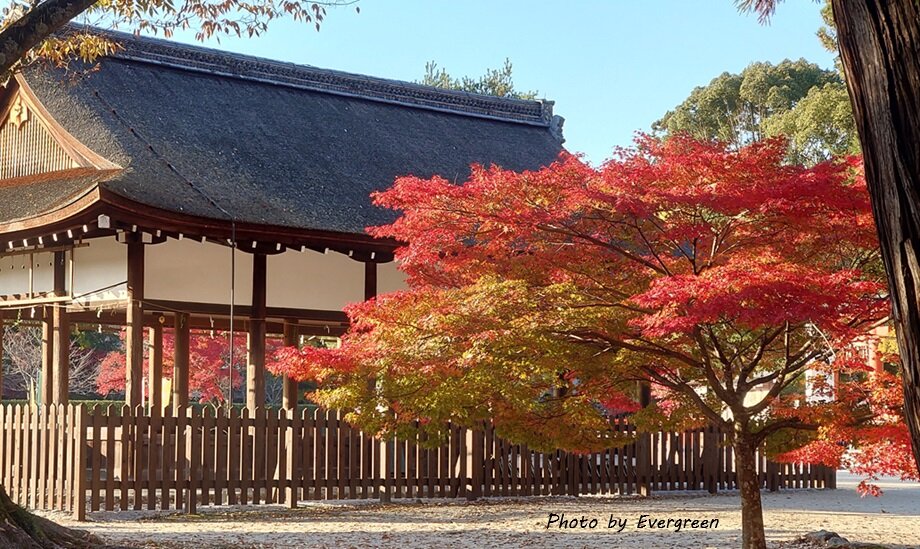 上賀茂神社の紅葉-04
