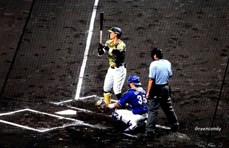 甲子園球場-27