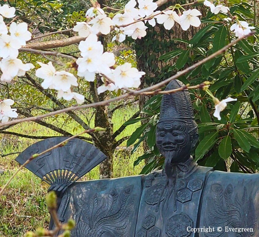 春日神社の桜-03