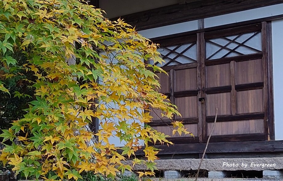 綾部安国寺の紅葉-09