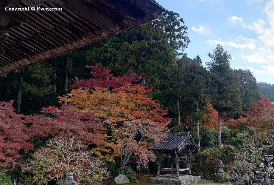 勝林院の紅葉-05