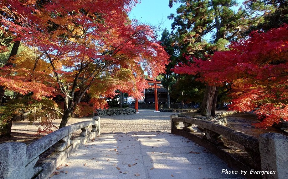 上賀茂神社の紅葉-07