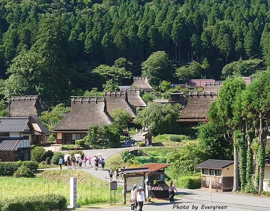 深山かやぶきの里ひまわり-05