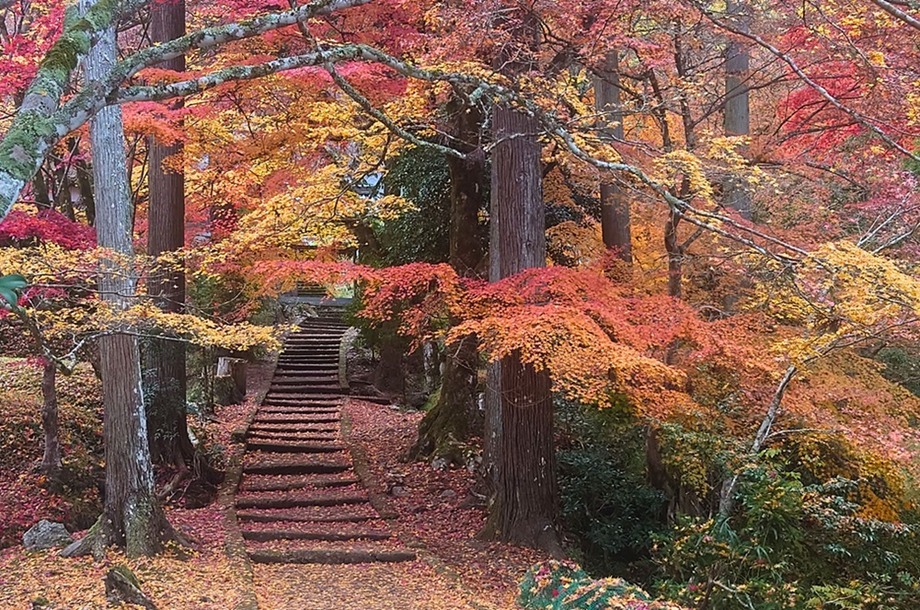 【サイドバー】龍穏寺の紅葉