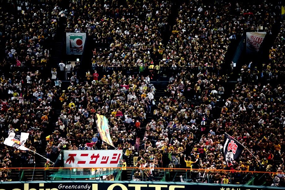 甲子園球場-35