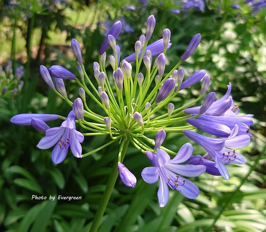 ミラタップパーク芦屋-10