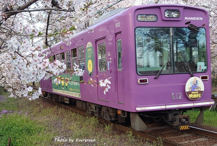嵐電桜のトンネル-03