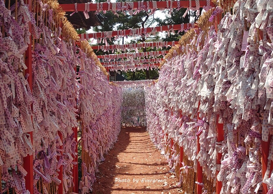 石浦神社-03