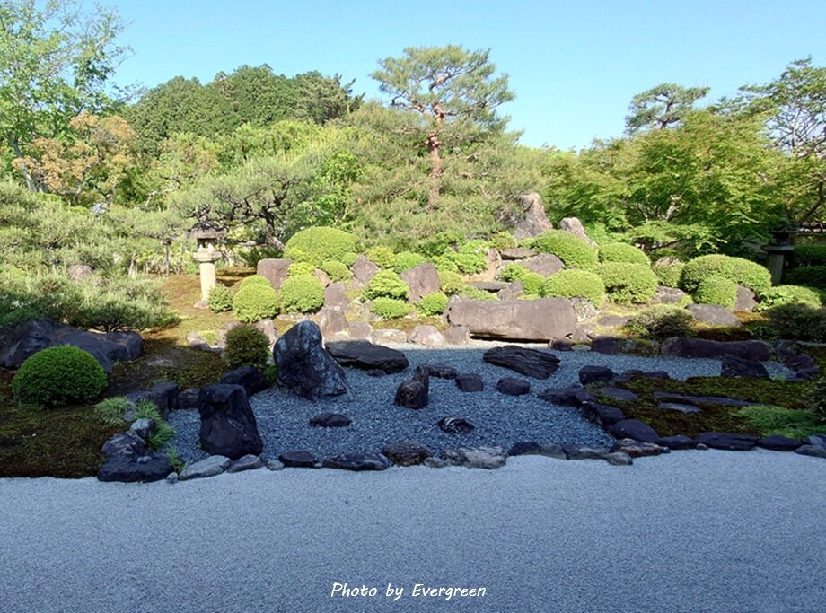 妙満寺の新緑-09
