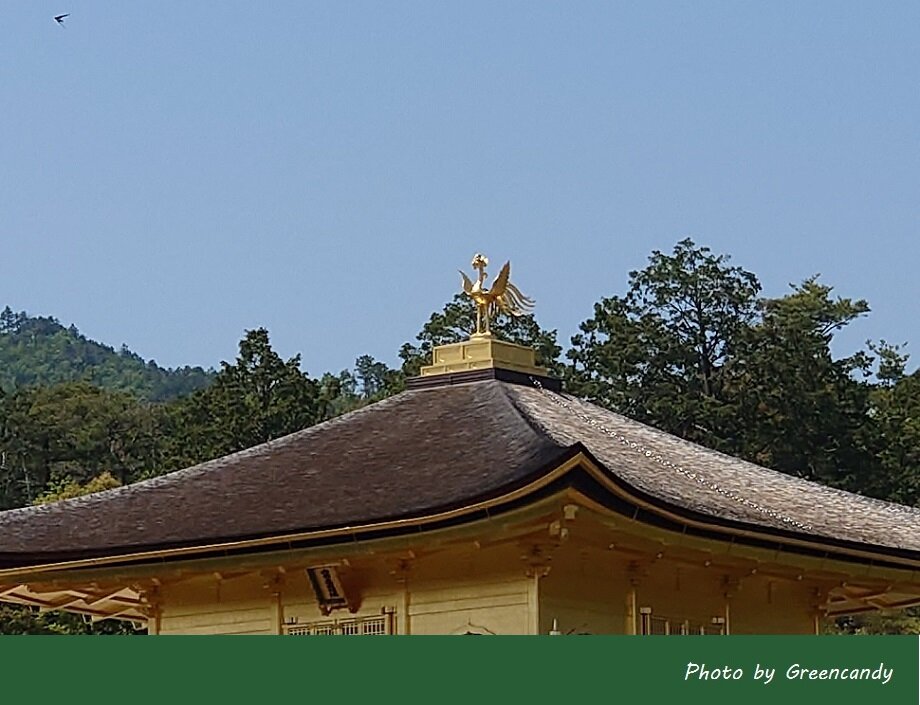 金閣寺-12