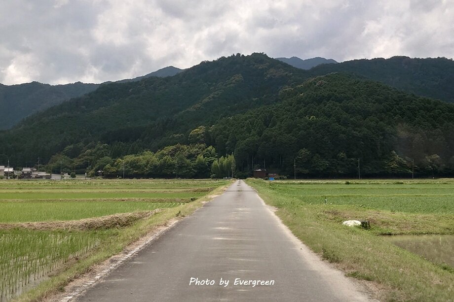 丹波円通寺のあじさい-12