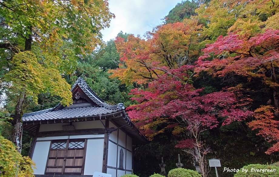 綾部安国寺の紅葉-02