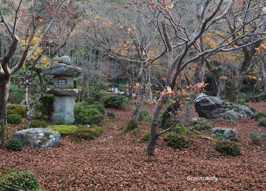 圓光寺-16
