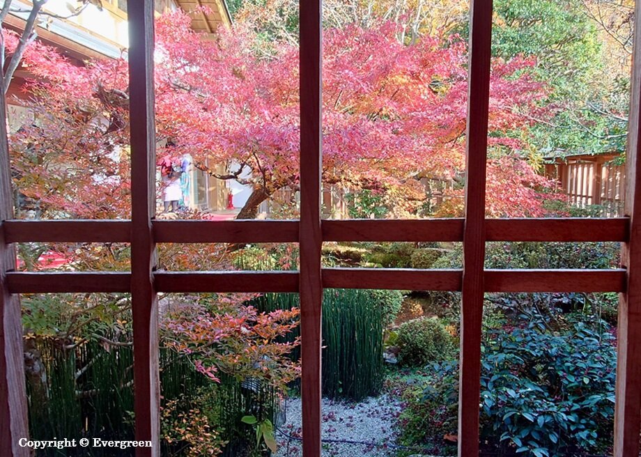 宝泉院の紅葉-05
