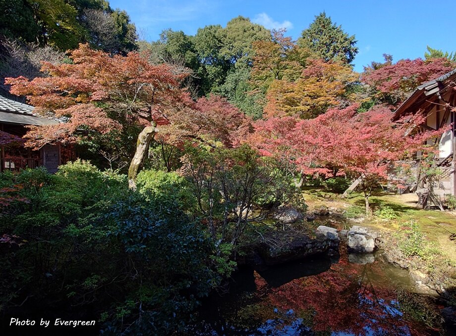 岩倉実相院の紅葉-01